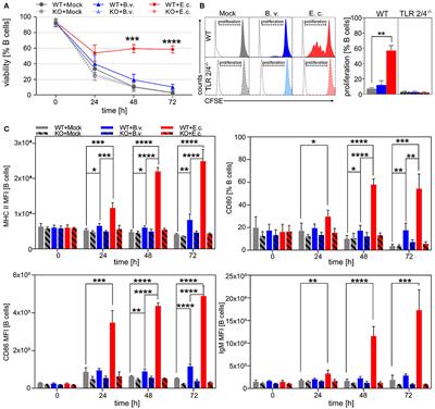 Frontiers | Bacterial Immunogenicity Is Critical For The Induction Of ...